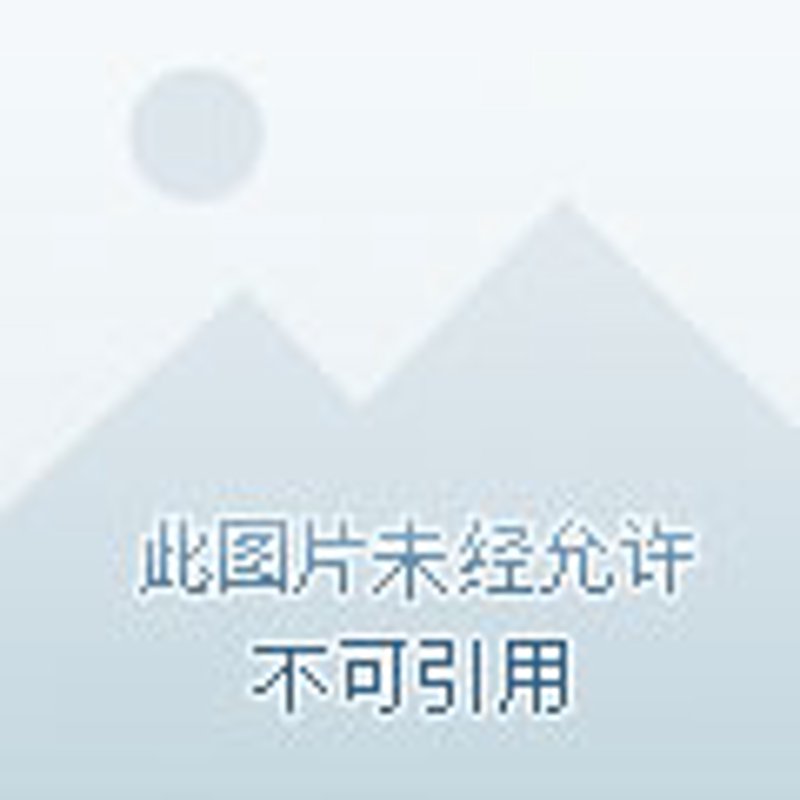 盐城旅游团：让城市印象在心中绽放